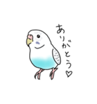 セキセイインコの可愛い1日（ハルクイン）（個別スタンプ：6）