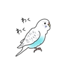 セキセイインコの可愛い1日（ハルクイン）（個別スタンプ：8）