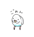 セキセイインコの可愛い1日（ハルクイン）（個別スタンプ：9）