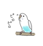 セキセイインコの可愛い1日（ハルクイン）（個別スタンプ：10）