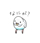 セキセイインコの可愛い1日（ハルクイン）（個別スタンプ：11）