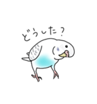 セキセイインコの可愛い1日（ハルクイン）（個別スタンプ：13）