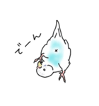 セキセイインコの可愛い1日（ハルクイン）（個別スタンプ：14）