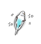 セキセイインコの可愛い1日（ハルクイン）（個別スタンプ：19）