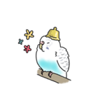 セキセイインコの可愛い1日（ハルクイン）（個別スタンプ：22）