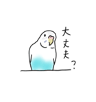 セキセイインコの可愛い1日（ハルクイン）（個別スタンプ：24）