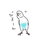セキセイインコの可愛い1日（ハルクイン）（個別スタンプ：25）