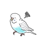 セキセイインコの可愛い1日（ハルクイン）（個別スタンプ：27）