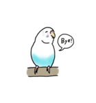 セキセイインコの可愛い1日（ハルクイン）（個別スタンプ：28）