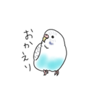 セキセイインコの可愛い1日（ハルクイン）（個別スタンプ：29）