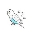 セキセイインコの可愛い1日（ハルクイン）（個別スタンプ：30）