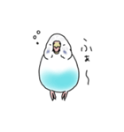 セキセイインコの可愛い1日（ハルクイン）（個別スタンプ：31）