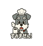 シュナウザー店長の毎日スタンプ（個別スタンプ：31）