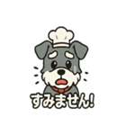 シュナウザー店長の毎日スタンプ（個別スタンプ：33）