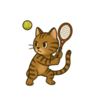 テニス猫。時々他のも。（個別スタンプ：19）