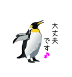 普段使いできるリアルなペンギンスタンプ（個別スタンプ：18）