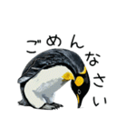 普段使いできるリアルなペンギンスタンプ（個別スタンプ：19）