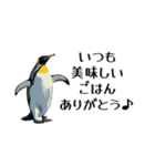 【省スペース】家族連絡用ペンギンスタンプ（個別スタンプ：3）