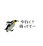 【省スペース】家族連絡用ペンギンスタンプ（個別スタンプ：8）