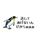 【省スペース】家族連絡用ペンギンスタンプ（個別スタンプ：14）