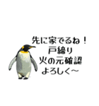 【省スペース】家族連絡用ペンギンスタンプ（個別スタンプ：17）