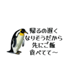 【省スペース】家族連絡用ペンギンスタンプ（個別スタンプ：20）