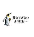 【省スペース】家族連絡用ペンギンスタンプ（個別スタンプ：25）