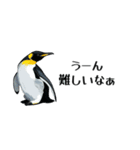 【省スペース】家族連絡用ペンギンスタンプ（個別スタンプ：30）