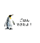 【省スペース】家族連絡用ペンギンスタンプ（個別スタンプ：32）