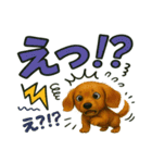 ダックスちゃんの気持ち（個別スタンプ：11）