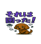 ダックスちゃんの気持ち（個別スタンプ：13）