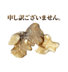 年中使える敬語くるみ（個別スタンプ：9）