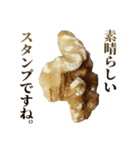 年中使える敬語くるみ（個別スタンプ：14）