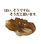 年中使える敬語くるみ（個別スタンプ：17）