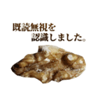 年中使える敬語くるみ（個別スタンプ：33）