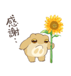 夏のフクラガエル（個別スタンプ：4）