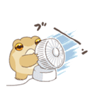 夏のフクラガエル（個別スタンプ：7）