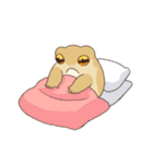 夏のフクラガエル（個別スタンプ：16）