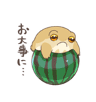 夏のフクラガエル（個別スタンプ：29）