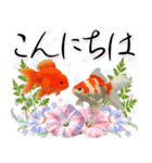 金魚が泳ぐ！日本の素敵な夏の日常・挨拶（個別スタンプ：2）