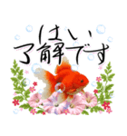 金魚が泳ぐ！日本の素敵な夏の日常・挨拶（個別スタンプ：5）