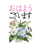 7月 夏の花 大きくて見やすい挨拶スタンプ（個別スタンプ：1）