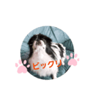ふーちゃんPart6（個別スタンプ：4）