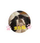ふーちゃんPart6（個別スタンプ：7）