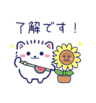 夏に使える白ポメ☆便利な敬語と気遣い（個別スタンプ：1）