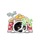 みーさんちのねこ（個別スタンプ：6）
