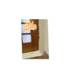 動く♪HARORI①（個別スタンプ：7）