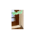 動く♪HARORI①（個別スタンプ：8）