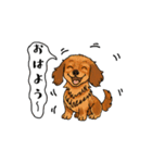 アクションk-gigi18（個別スタンプ：1）