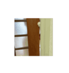 動くHARORI②（個別スタンプ：2）
